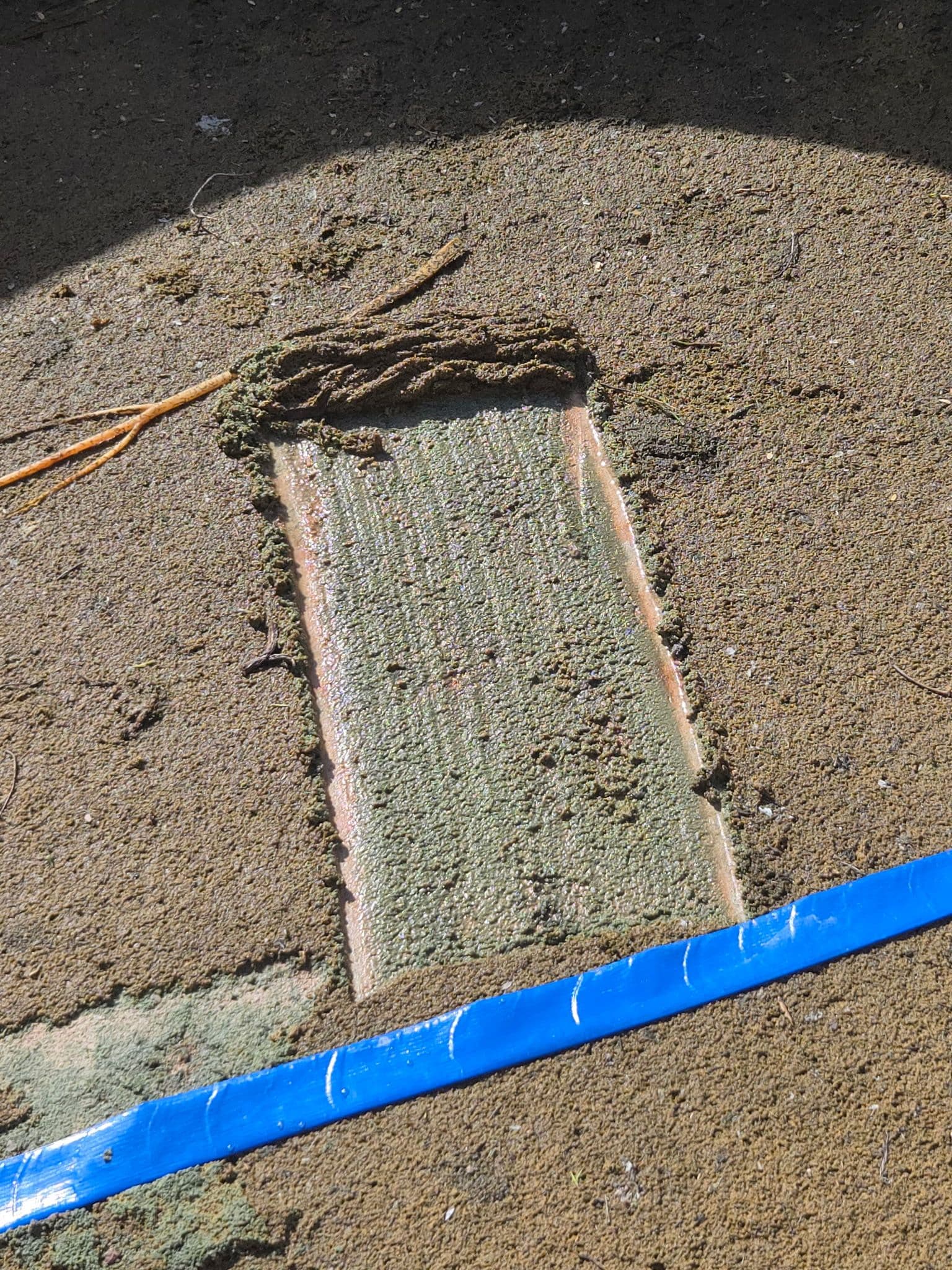 Restoring a Neglected Pool to Pristine Condition in Litchfield Park