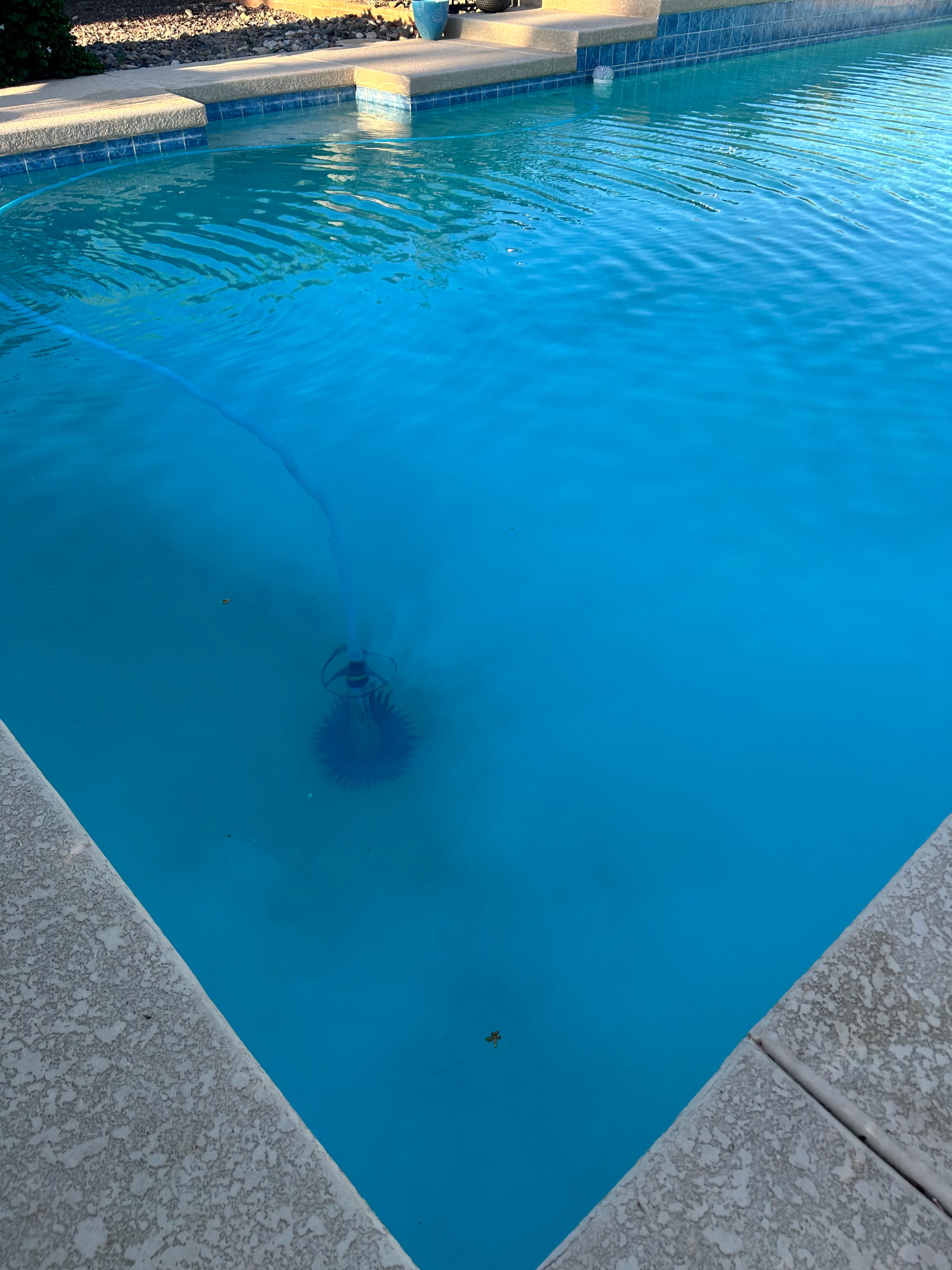 Project Why Your Pool Won't Hold Chlorine - Phosphates Explained image
