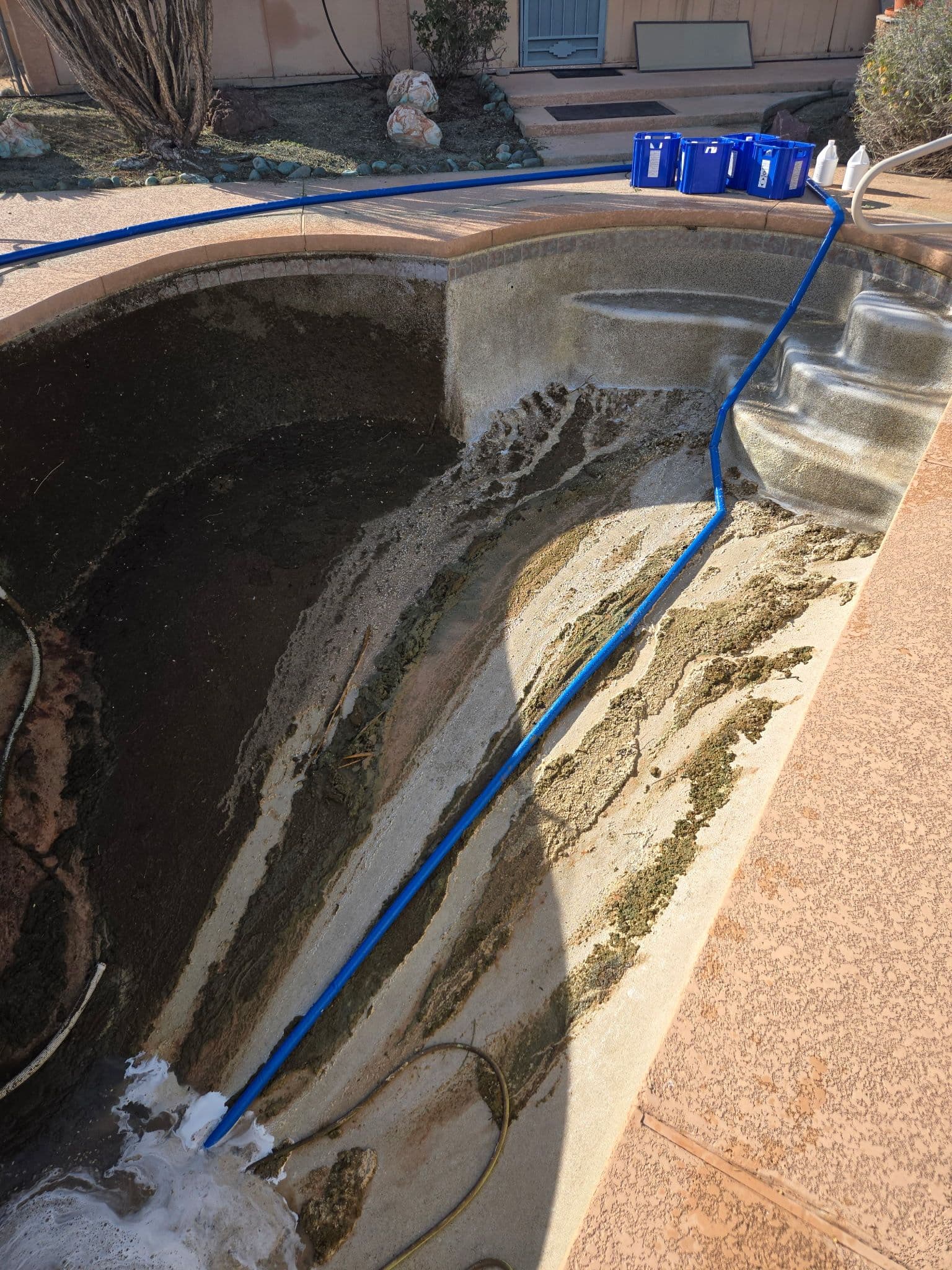 Restoring a Neglected Pool to Pristine Condition in Litchfield Park