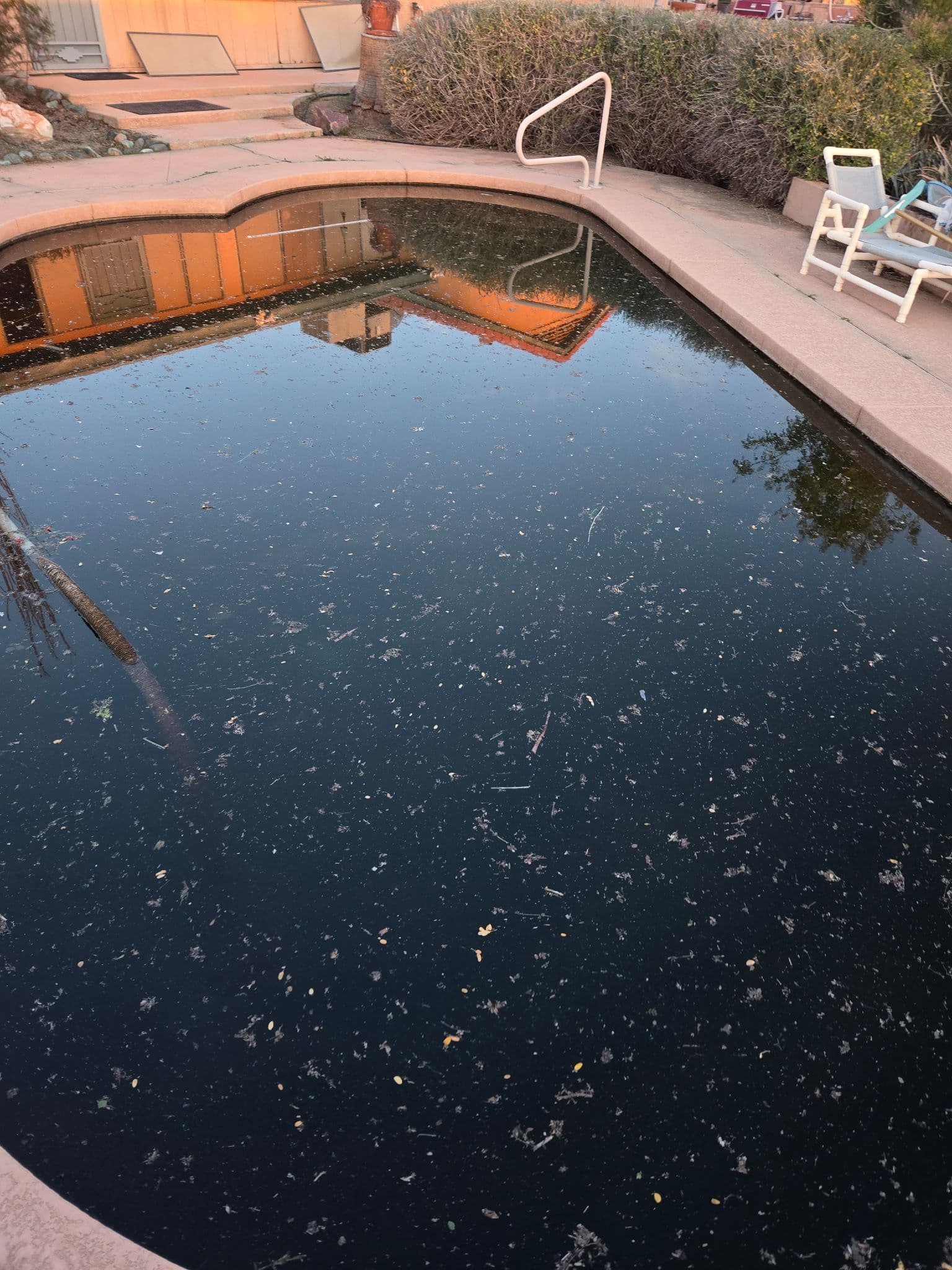 Project Restoring a Neglected Pool to Pristine Condition in Litchfield Park image